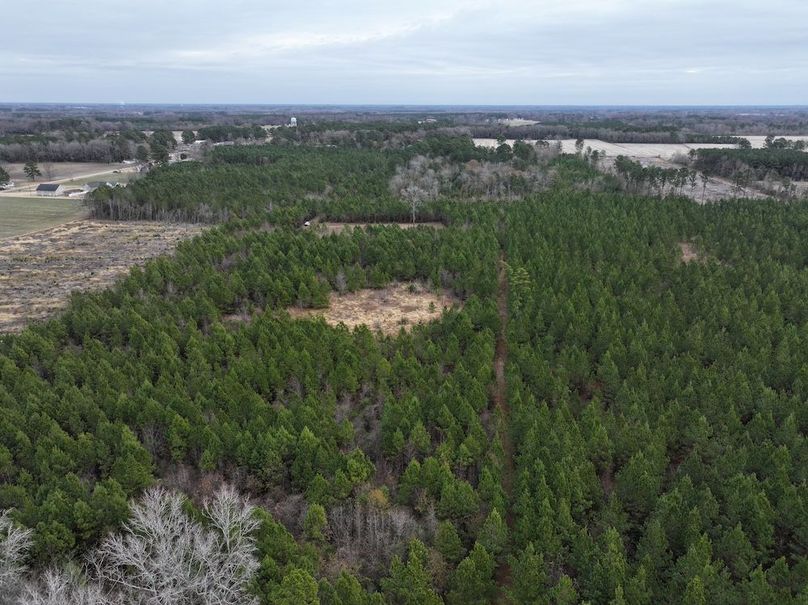 dji_fly_20251211_104550_0016_1766519227081_photo