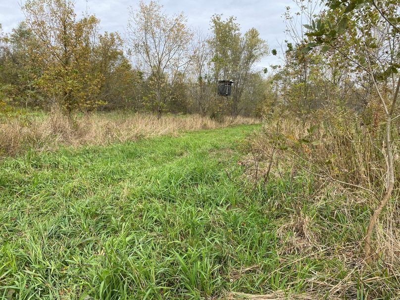 pics from late 2021 and early 2022. New plots being planted in Aug 2023 for new pics (43)