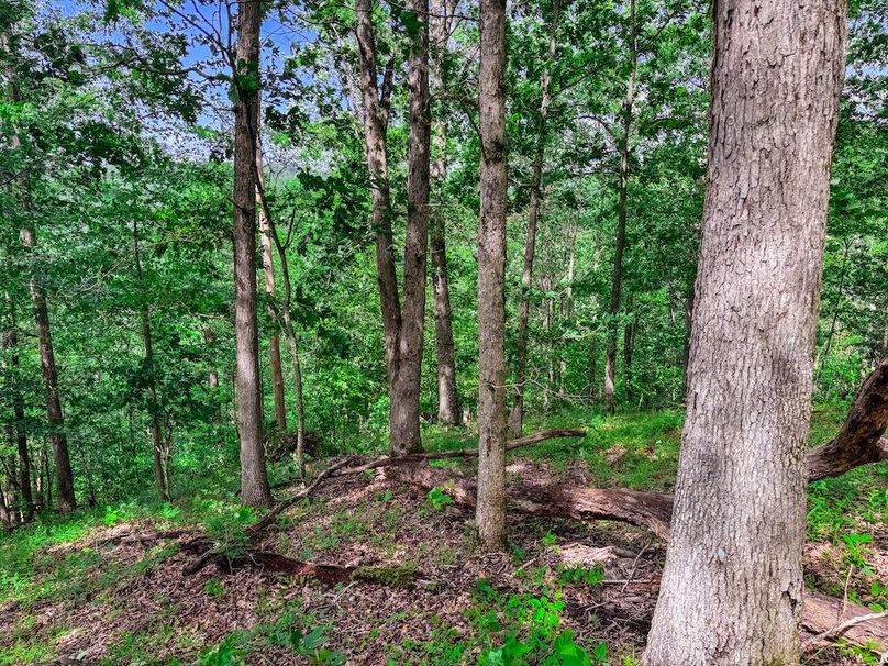 Wirt, WV 137.45 AC Full-56