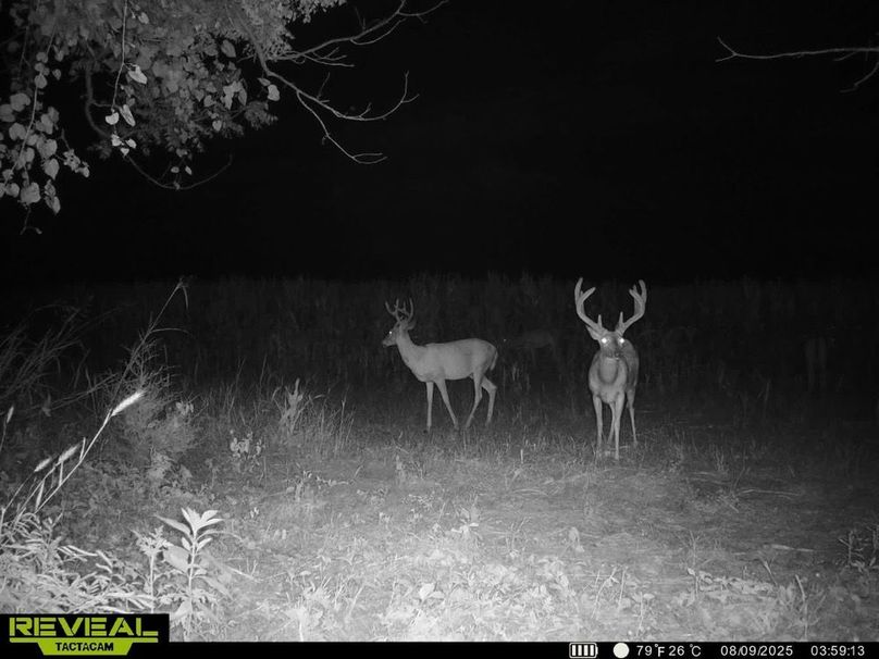 860322064549303-100-3-08092025090720-HD-SYEW2217