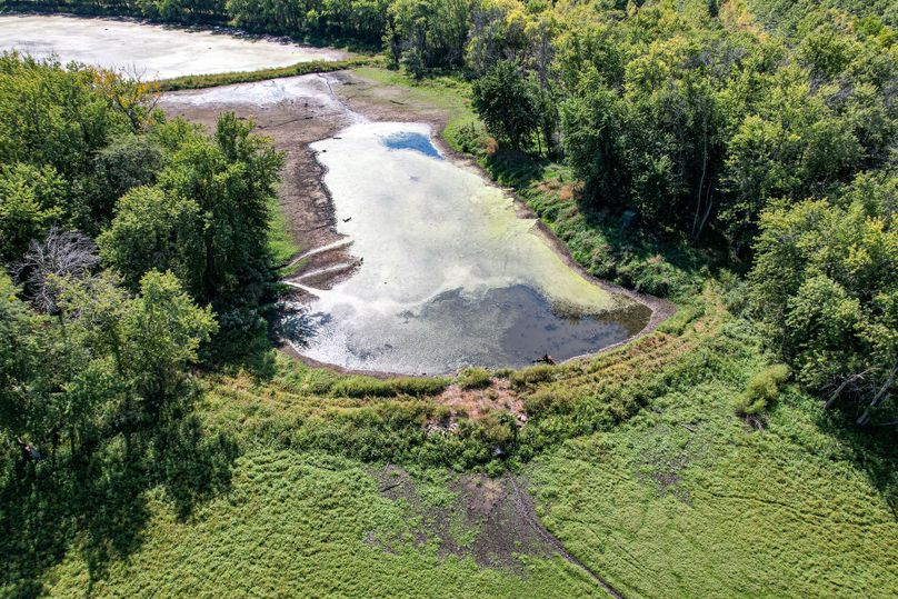 DJI_0184
