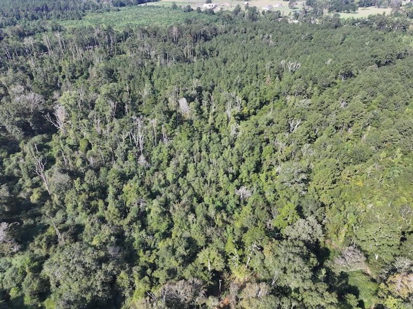 dji_fly_20250818_095018_0359_1755614660261_photo