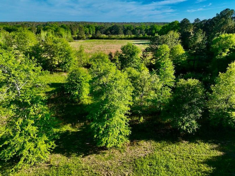 D29B3376-B793-4107-AB8C-6106F81DC5F2_1_201_a