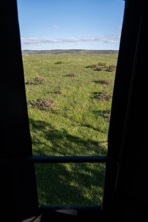 257E290C-3424-4E94-8120-A4B58F153C07