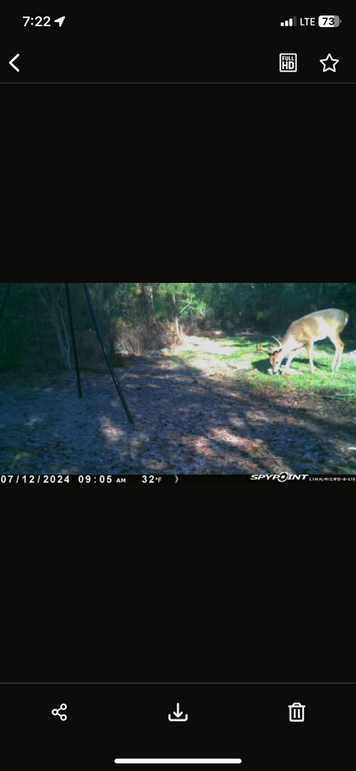 Trail Pic 9