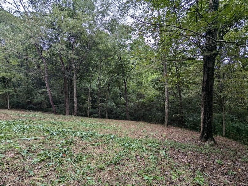 PXL_20240819_153525266