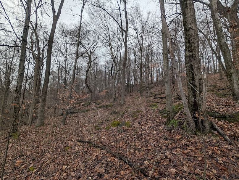 PXL_20260107_170032917