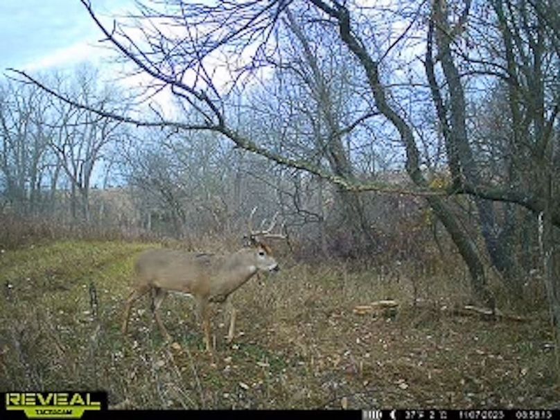 865509050044191-100-4-11072023085839-W1000953