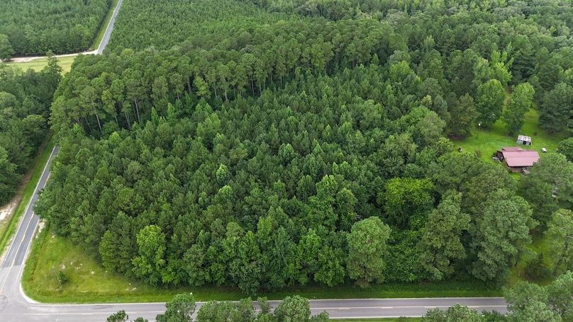 dji_fly_20250715_101122_0567_1752589191631_photo