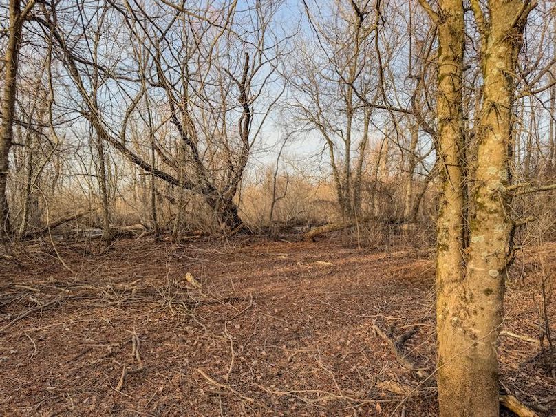 Phillips 8.5 Trahan -24