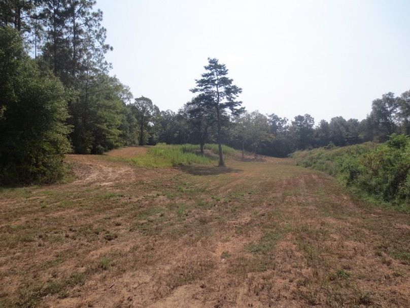 C4EECD5E-720B-41AF-BFE9-8E94F7A163EB_1_105_c