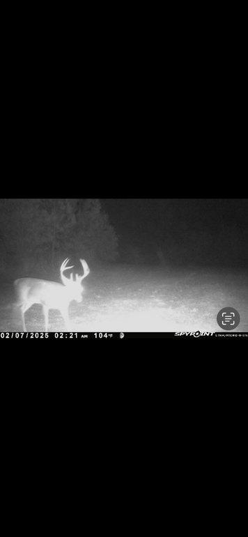 Trail Pic 15