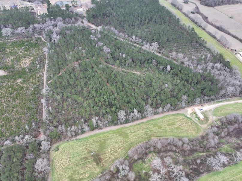 dji_fly_20260217_132226_0103_1771436916264_photo