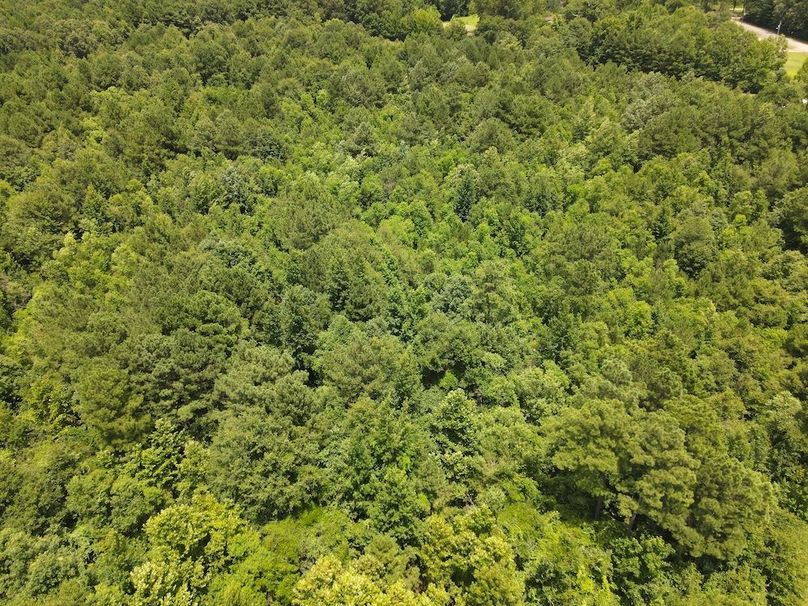 DJI_0626