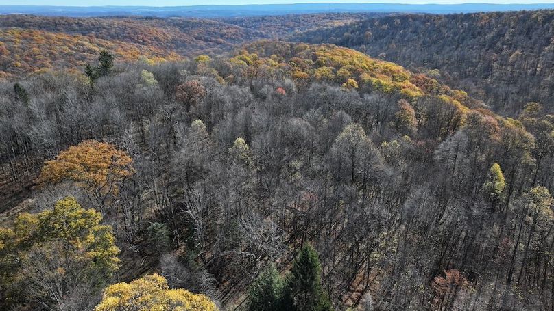 Somerset, 10.91, Tinkey-15