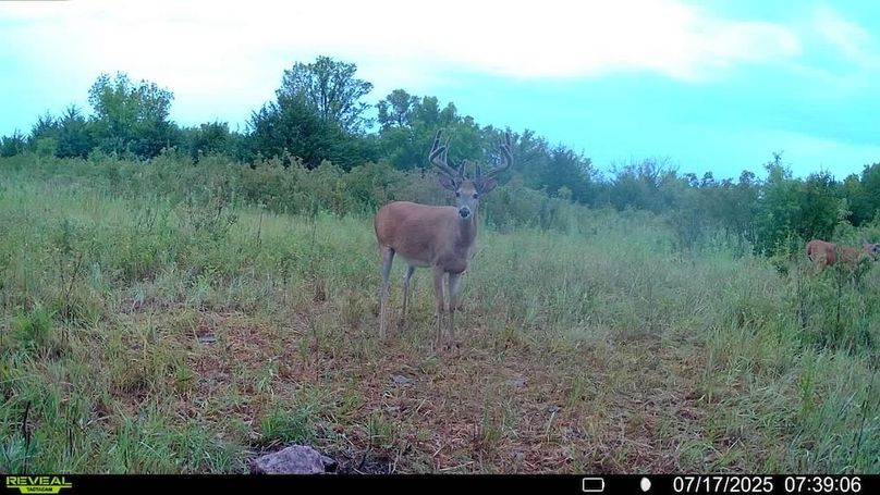 016578004503154-1-3-07172025073906-SYFW11139