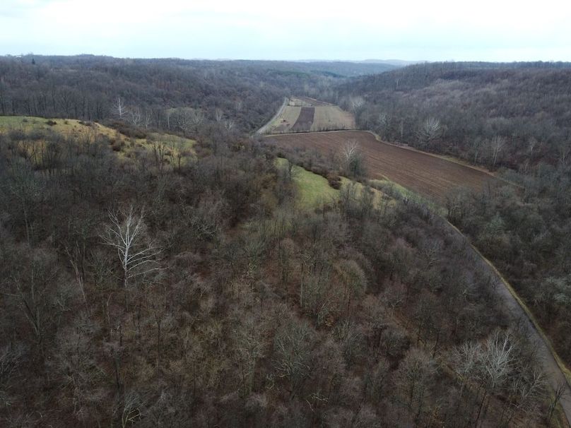 DJI_0061