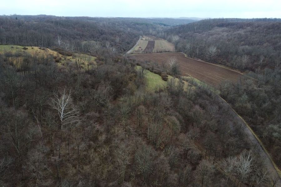 DJI_0061
