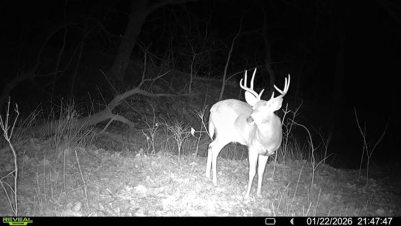 016579001092076-9-3-01222026214747-SYFW11613