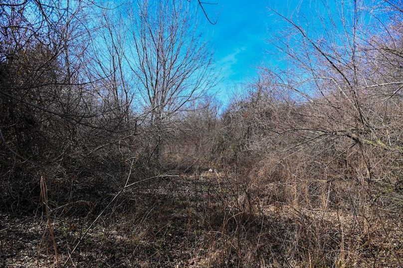 vandalia 450 (2)-1677