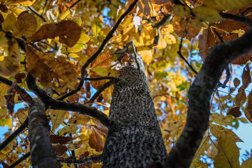 38 harrison 417ac pics-085