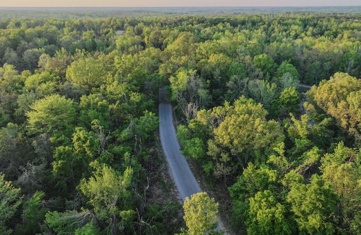 Tallahatchie 44 Newman (Crowden) Wide-6