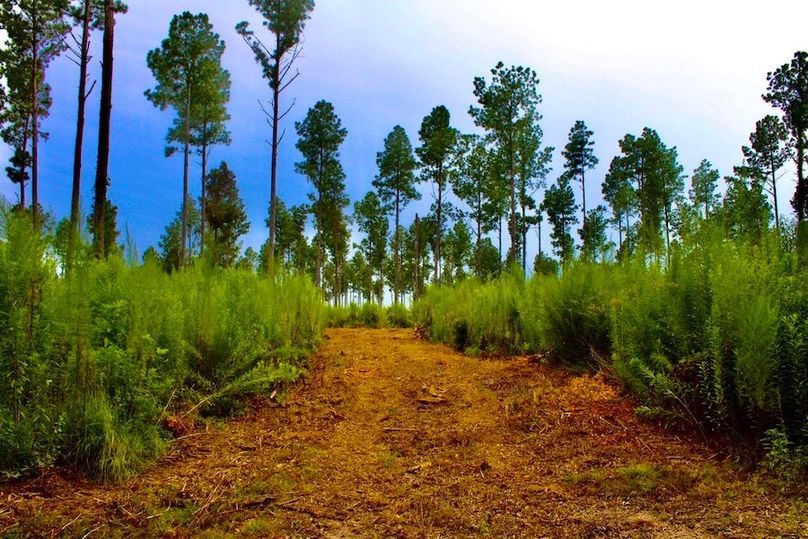 8C764195-14BC-43B4-BED0-8ECE781A6CFE_1_105_c