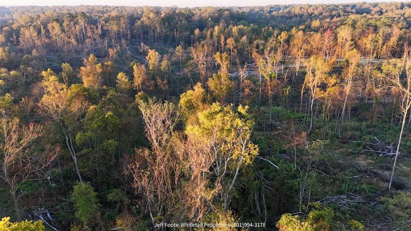 Claiborne Co-151-Geronimo-16