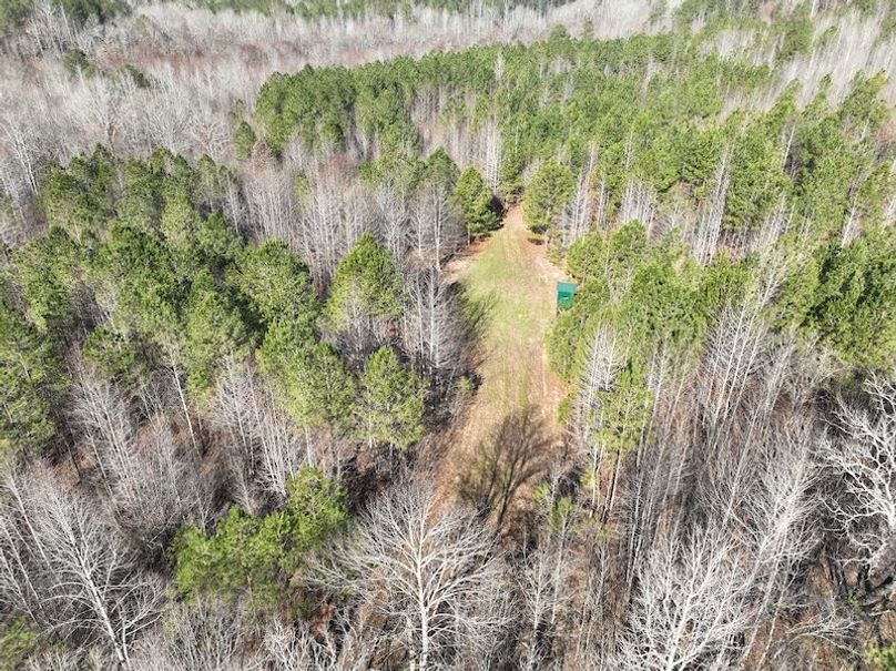 DJI_0933