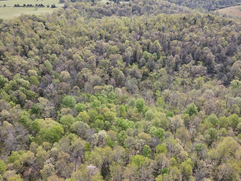 DJI_0315