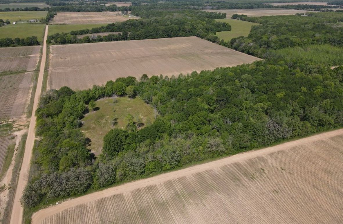 dji_fly_20250411_105416_526_1744386870069_photo