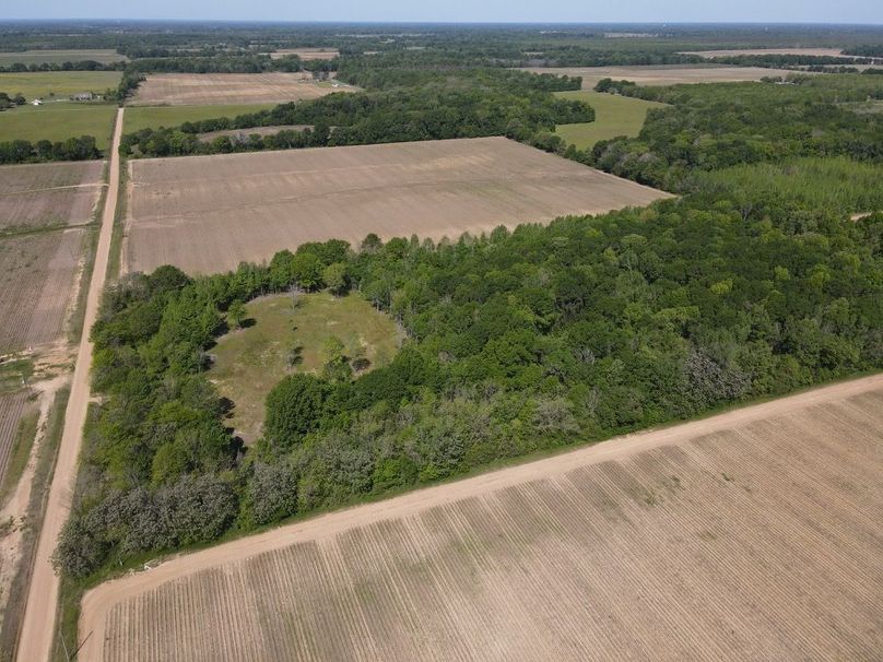 dji_fly_20250411_105416_526_1744386870069_photo