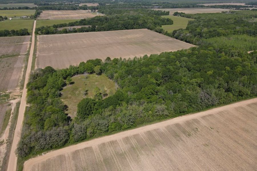 dji_fly_20250411_105416_526_1744386870069_photo