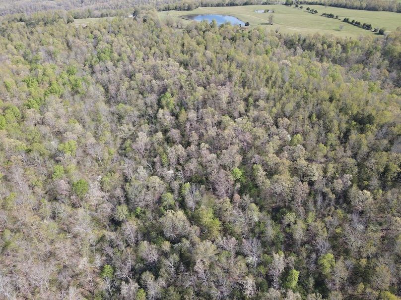 DJI_0312