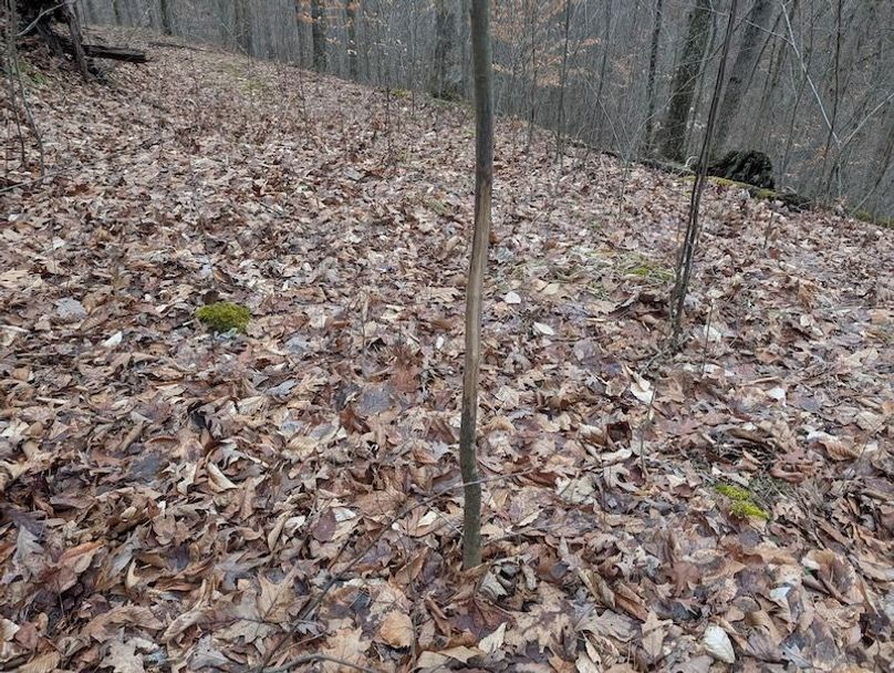 PXL_20260107_210111085