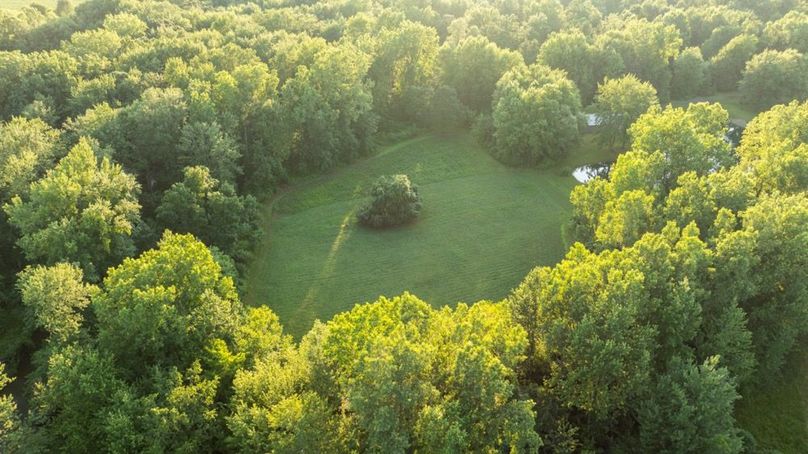 LivingstonMI41.75-123