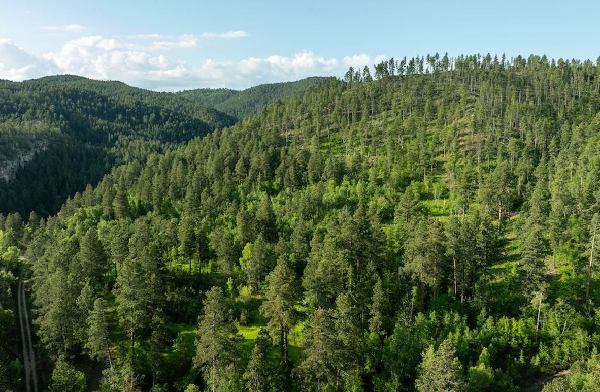 Copy of Lawrence SD 50 Featured_ProPhoto-18