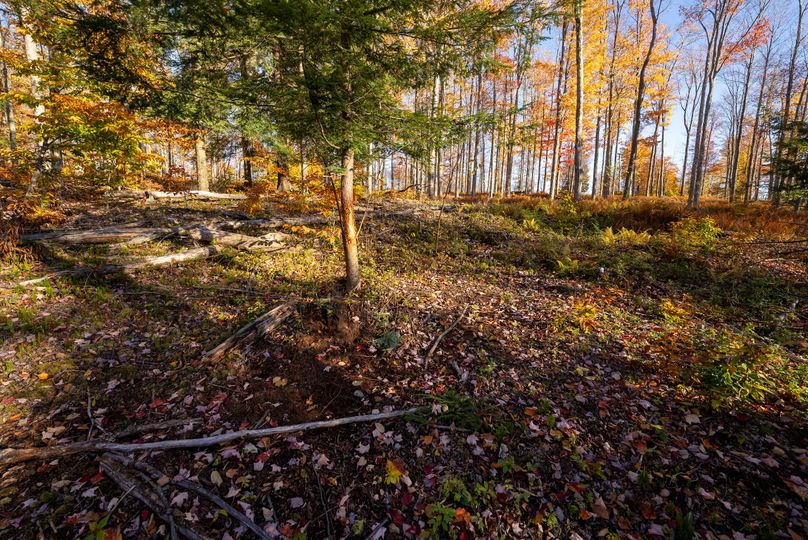 Elk PA 7000 Feature_Pro Photo-148