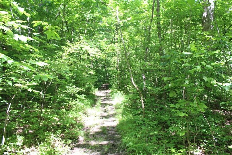 trail 9