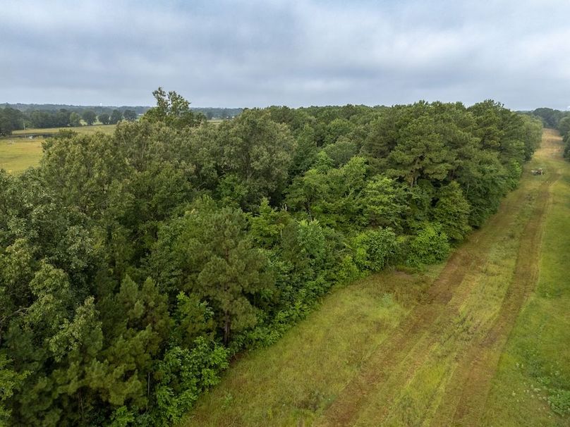 Panola Co. 40ac - Rouse-25