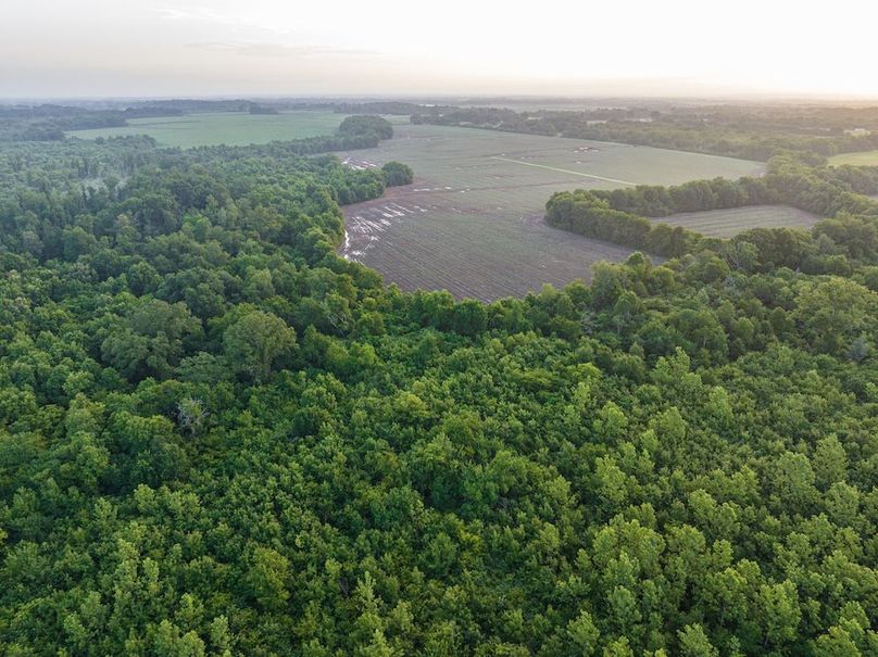 Copy of Noxubee 70 +- Tract 3-21