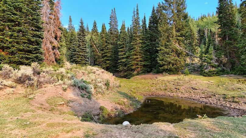 DJI_20250726184002_0229_D