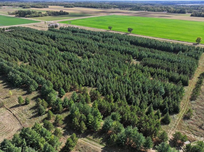 dji_fly_20240924_141944_0282_1727213961300_photo