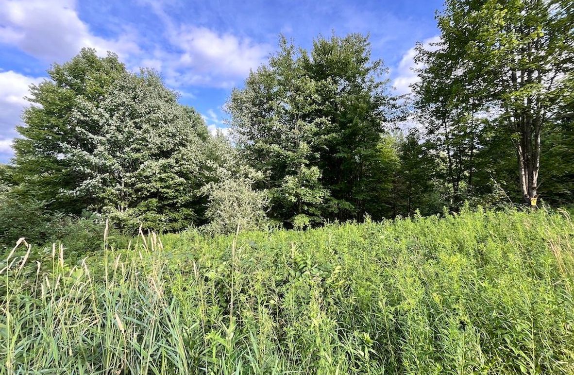 Chemung_59.085_Gutchess_Lumber_Photos_4