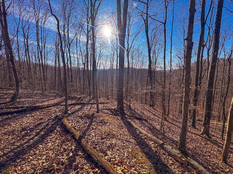 Lewis, WV 82.87 AC Barger-28