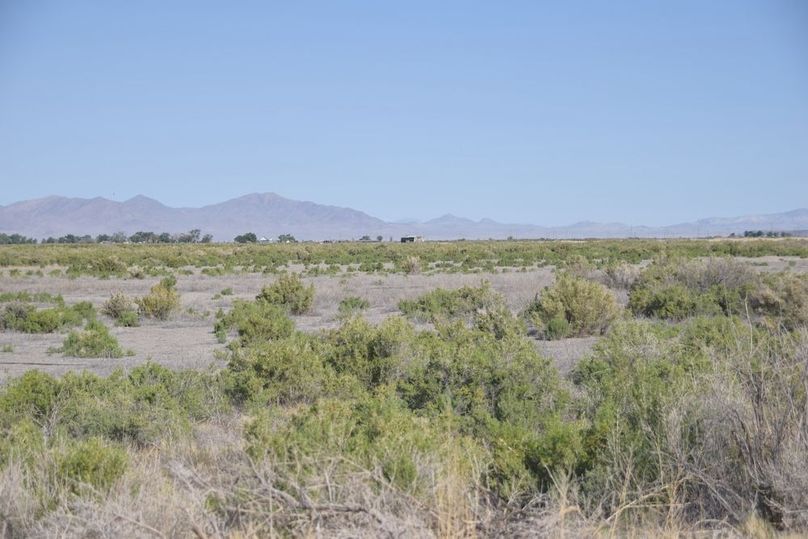 Copy of Copy of DSC_0108