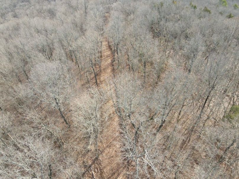DJI_0633