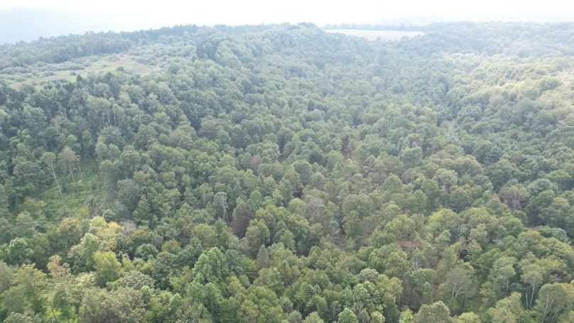 dji_fly_20250806_151914_612_1754528914656_photo