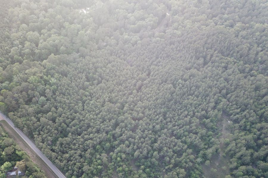 DJI_0638