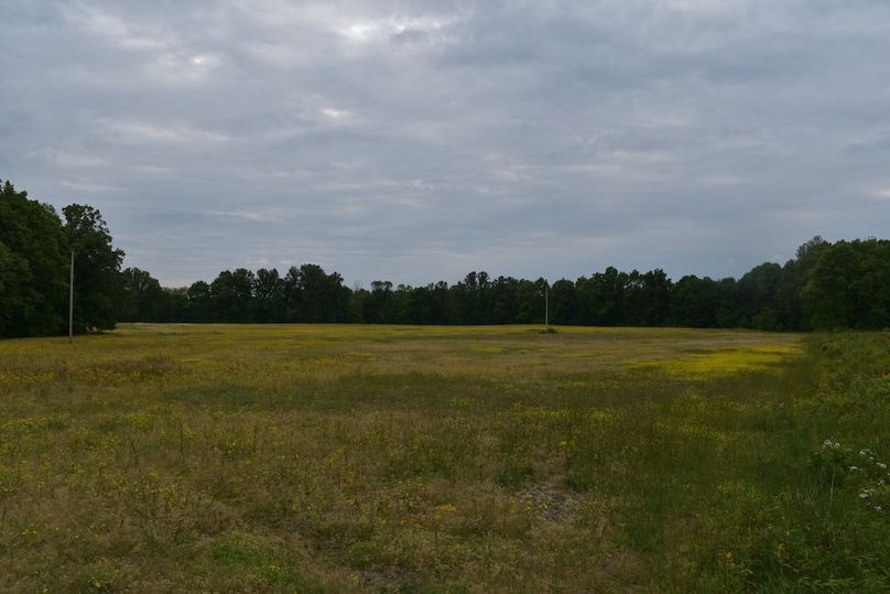 DSC_2606